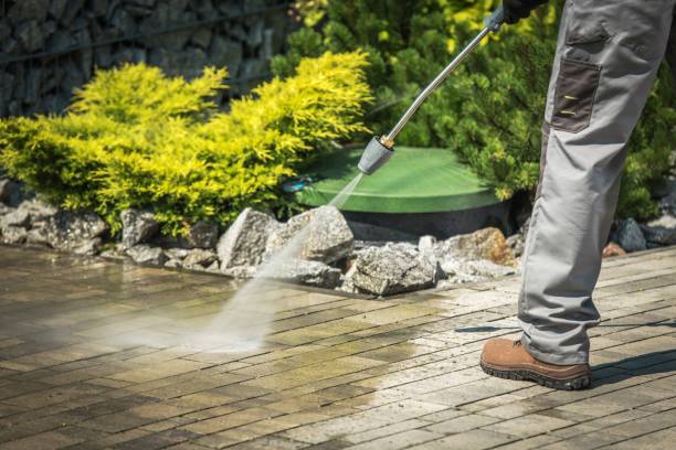 Best Pool Deck Cleaning  in Lauderdale, MN