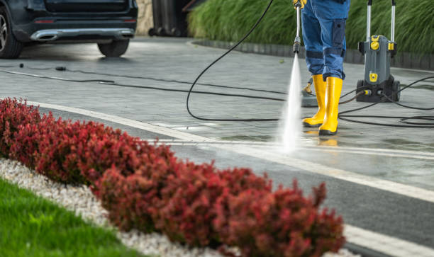 Best House Exterior Washing  in Lauderdale, MN